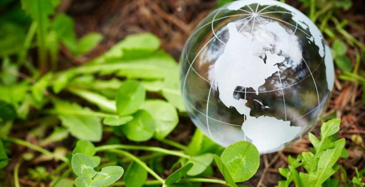 imagen ilustrativa del concepto bonos verdes, con un planeta de vidrio sobre hojas verdes