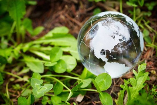 Premian la innovación con impacto social en la industria alimentaria: los ganadores 5 imagen ilustrativa del concepto bonos verdes, con un planeta de vidrio sobre hojas verdes