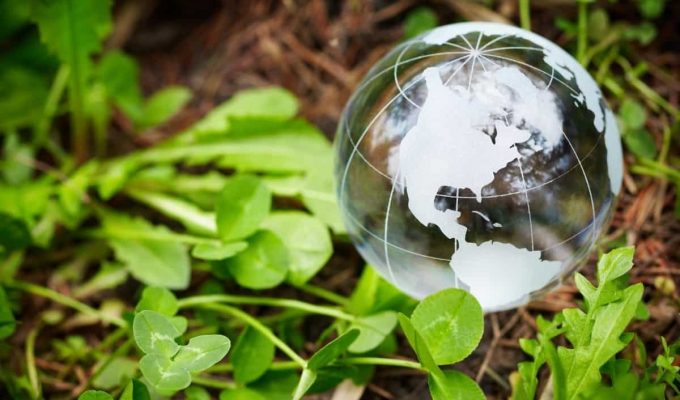 imagen ilustrativa del concepto bonos verdes, con un planeta de vidrio sobre hojas verdes