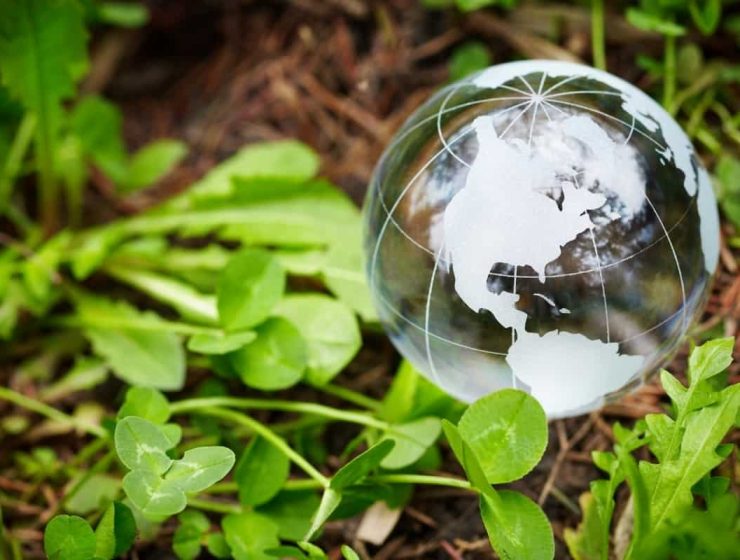 imagen ilustrativa del concepto bonos verdes, con un planeta de vidrio sobre hojas verdes