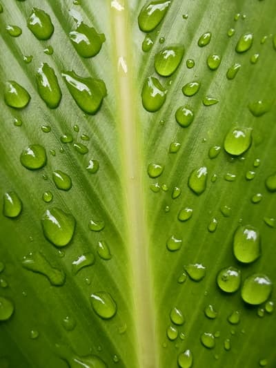 Moto G100: el Motorola más potente de la historia 15 motorola g100