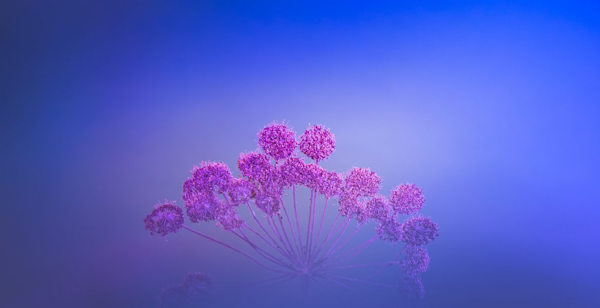 Para qué sirven los virus 1