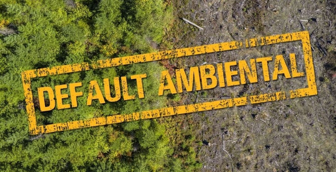 default ambiental ecologia