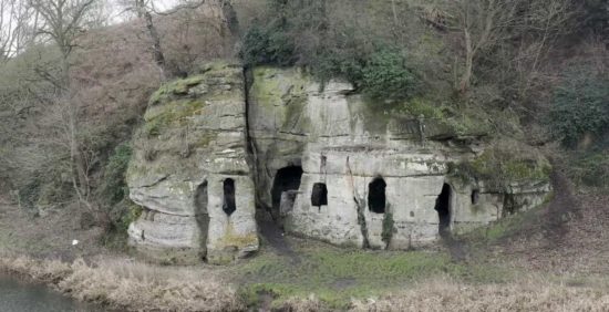 La empresa Yappy ofrece 28.000 euros por cuidar perros 4