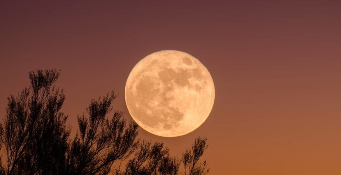 luna llena en tauro noviembre 2024