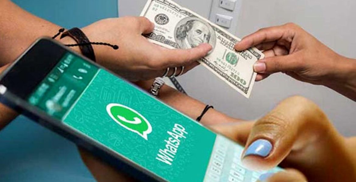 Robo de datos y venta de dólares: guía para engañar a un estafador 1