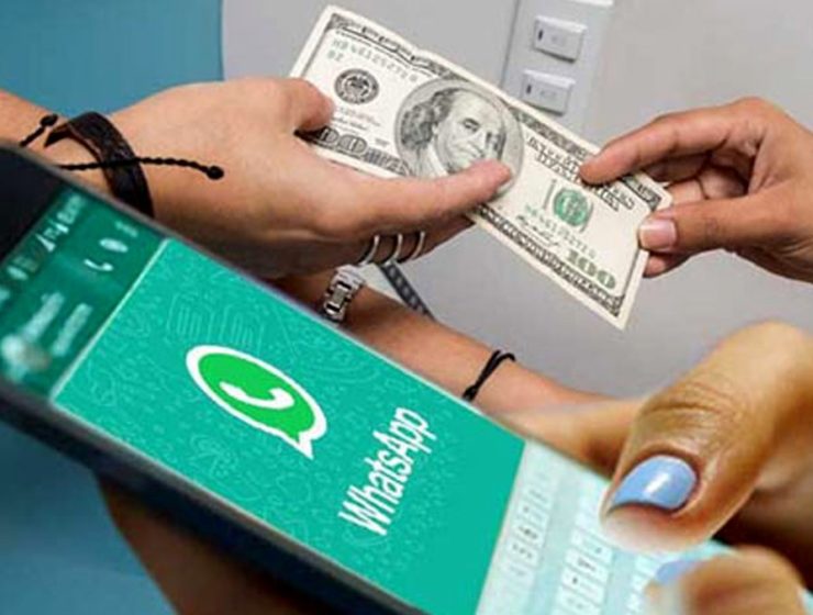 Robo de datos y venta de dólares: guía para engañar a un estafador 2