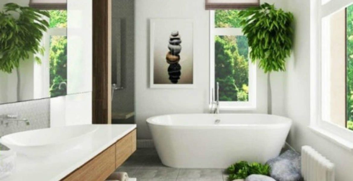 Plantas para el baño: cuáles son las mejores opciones 7