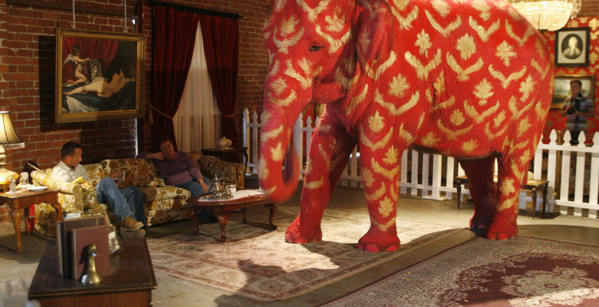 ¿Qué hacemos con el elefante en la habitación? 1