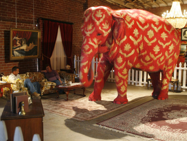 ¿Qué hacemos con el elefante en la habitación? 4