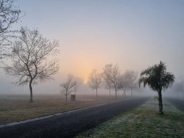 Sobre estaciones, emociones y algo de poesía 7