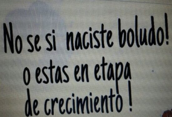 como usar la palabra boludo