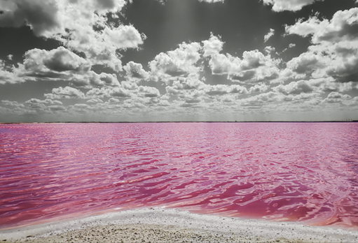 fotografías artisticas motorola