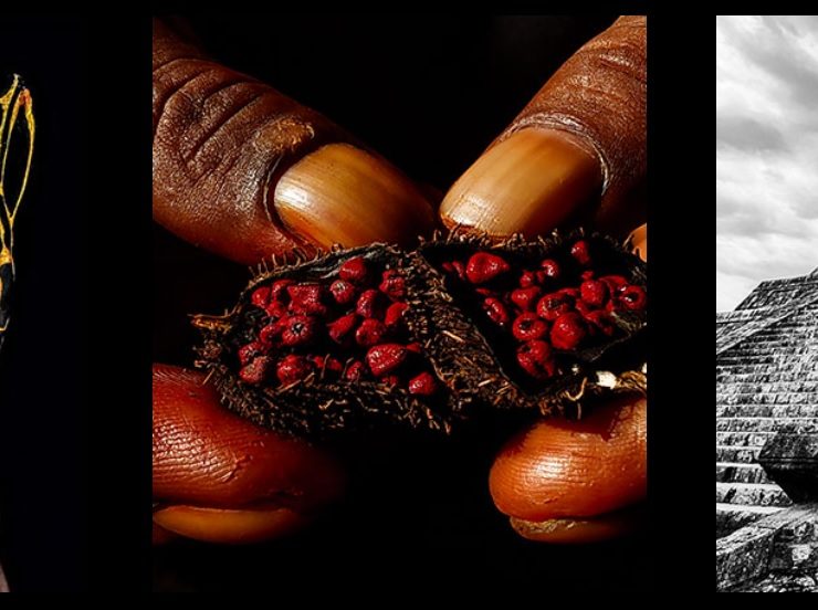 Cómo hacer fotografía artística con el celular 1