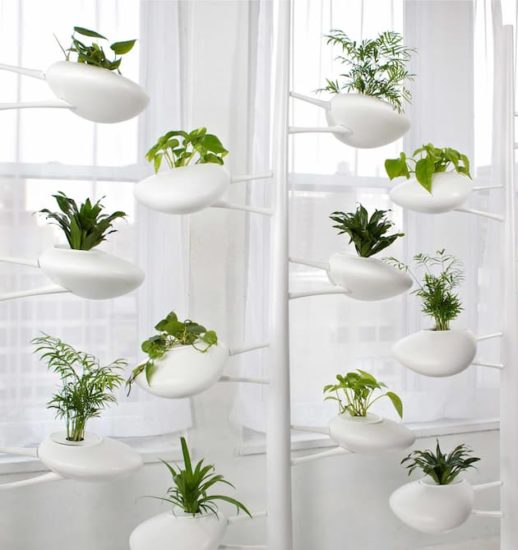  hidroponia casera productos