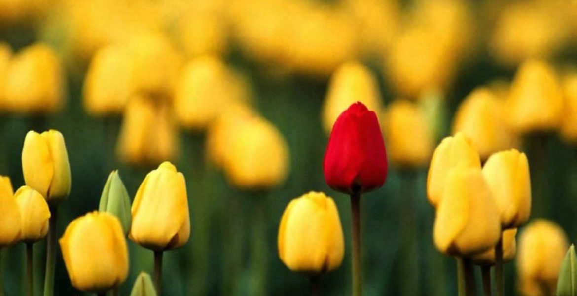 Equinoccio de primavera 2023: qué anticipan los tránsitos en Aries 6