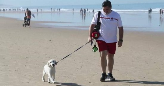 Chui: el primer perro salvavidas que trabaja para Cruz Roja 11