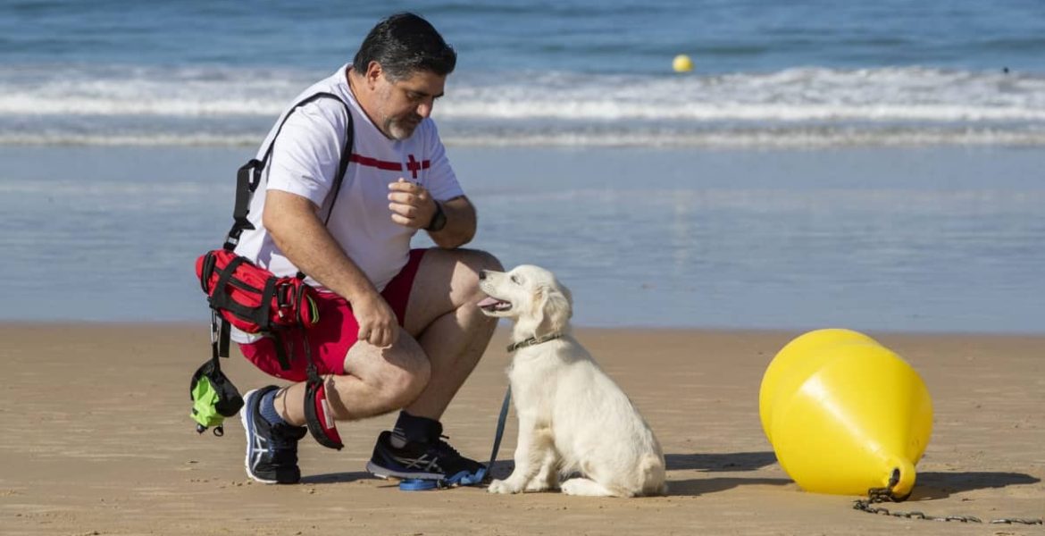 Chui: el primer perro salvavidas que trabaja para Cruz Roja 7