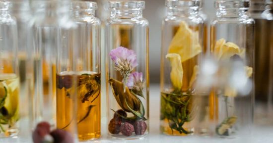 Las familias olfativas y las tendencias en fragancias para esta primavera 11 Las familias olfativas y las tendencias en fragancias para esta primavera 11