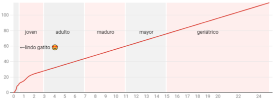Edad de una mascota en años humanos: respuesta de veterinario 14 Edad de una mascota en años humanos: respuesta de veterinario 14