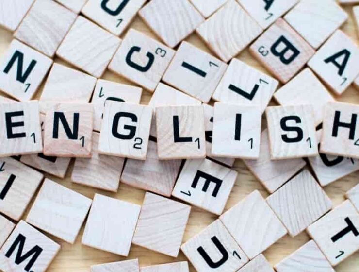 Del "The Elephant in the Room" al "Go Bananas": frases curiosas en inglés 1