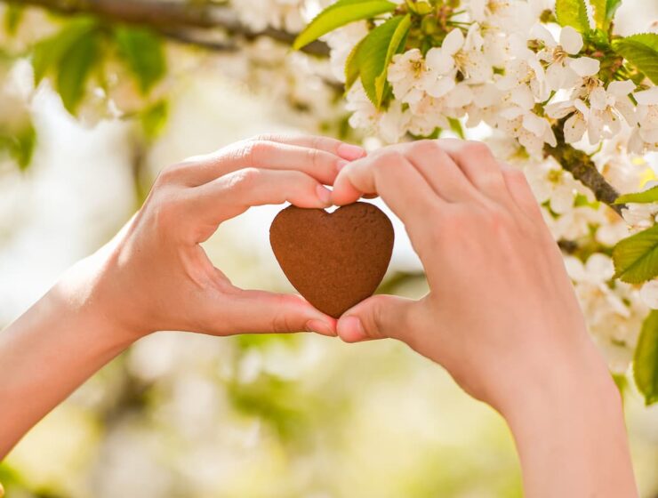Manos formando un corazón con una galleta en forma de corazón frente a un árbol en flor, simbolizando la amabilidad.