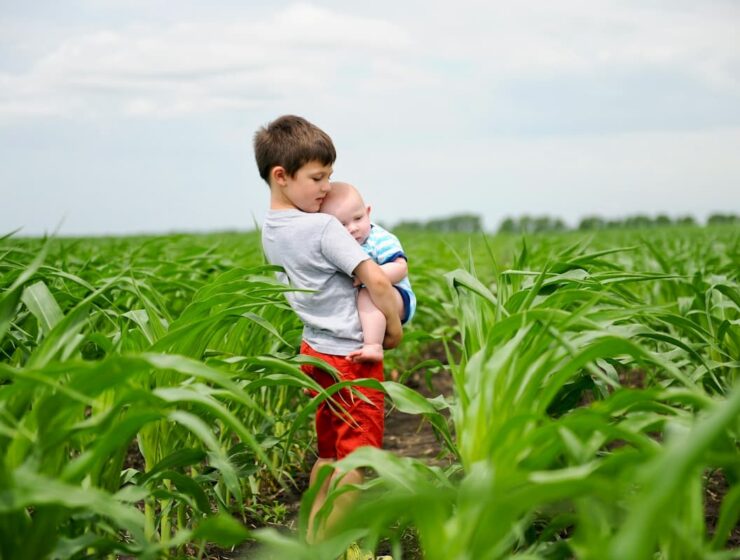 por que se celebra el dia del hermano