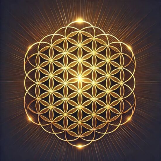 qué es la flor de la vida