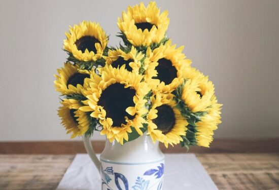 qué significa regalar flores amarillas