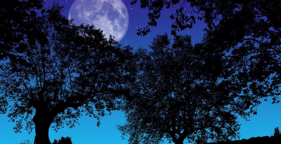 luna llena en leo 2025