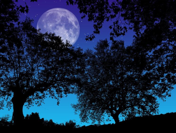 Luna Llena en Leo: qué impactos esperar el 12 de febrero 2025 7 luna llena en leo 2025