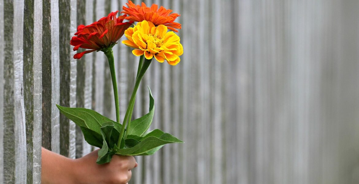 frases para regalar flores