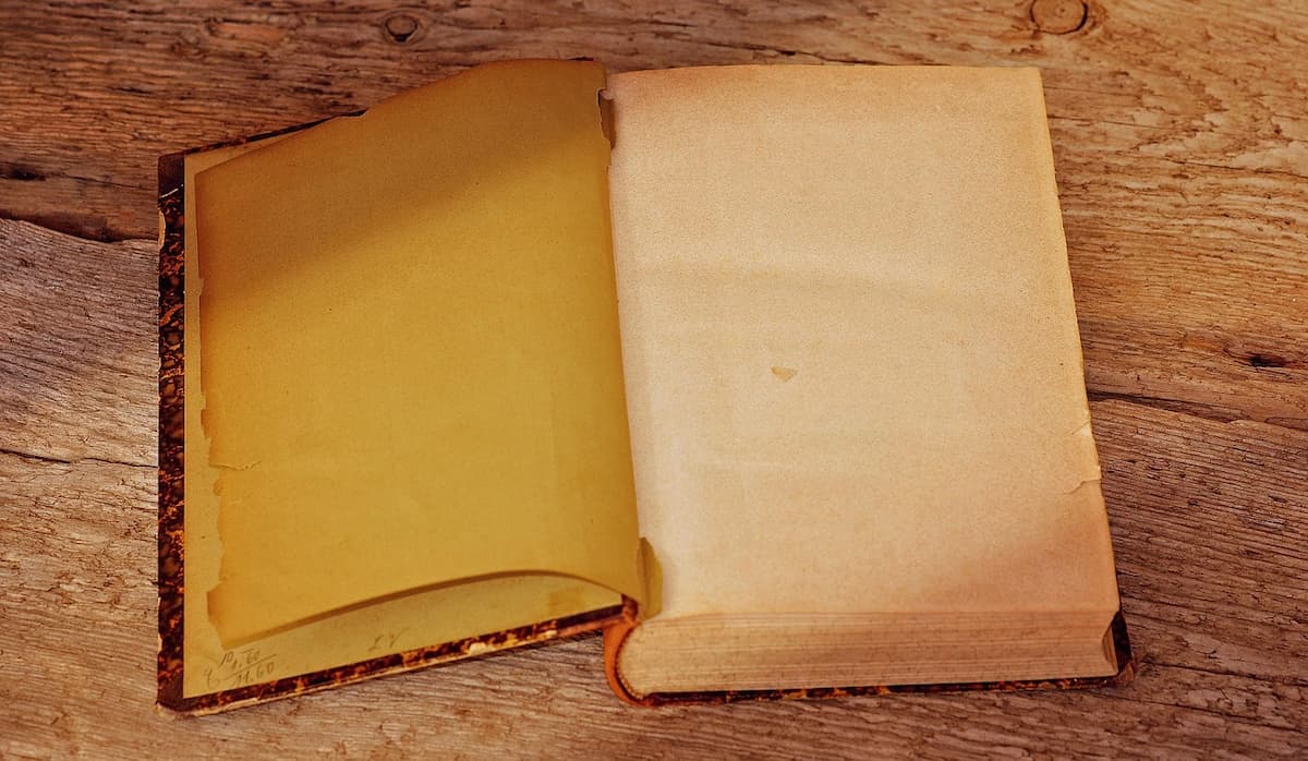 Qué significa Tabula Rasa: origen y usos de la frase hoy - Buena Vibra