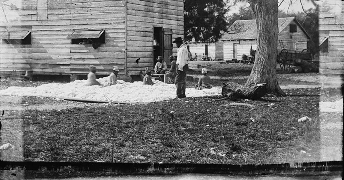 Contracting romanian essay 07 picture