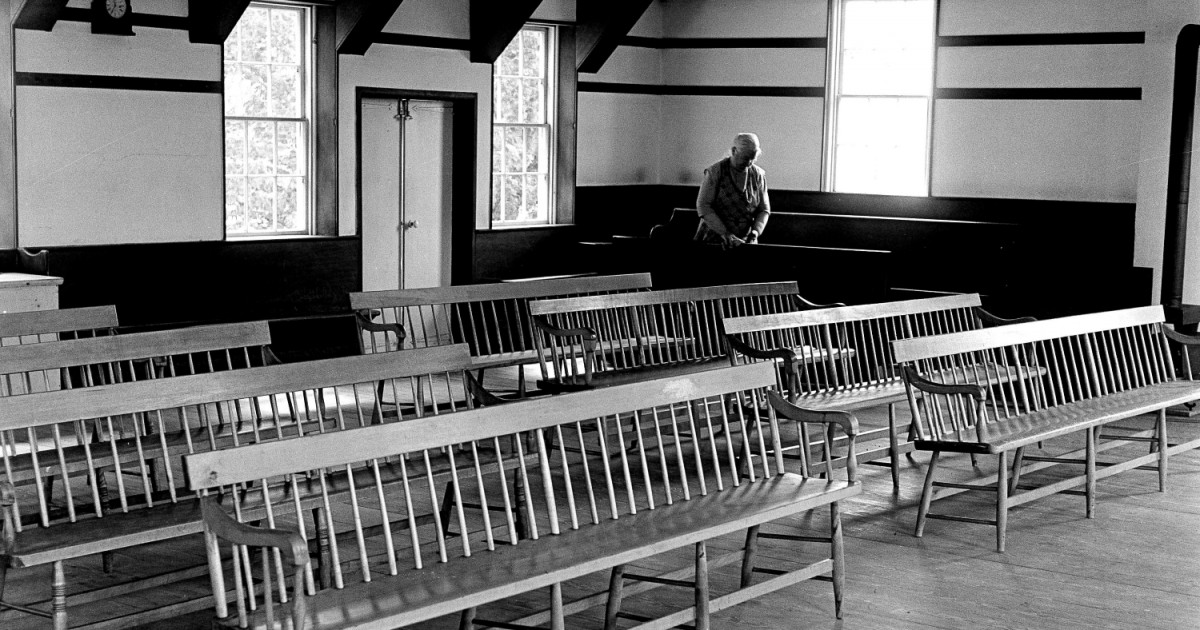 The Last Shakers? — Bunk