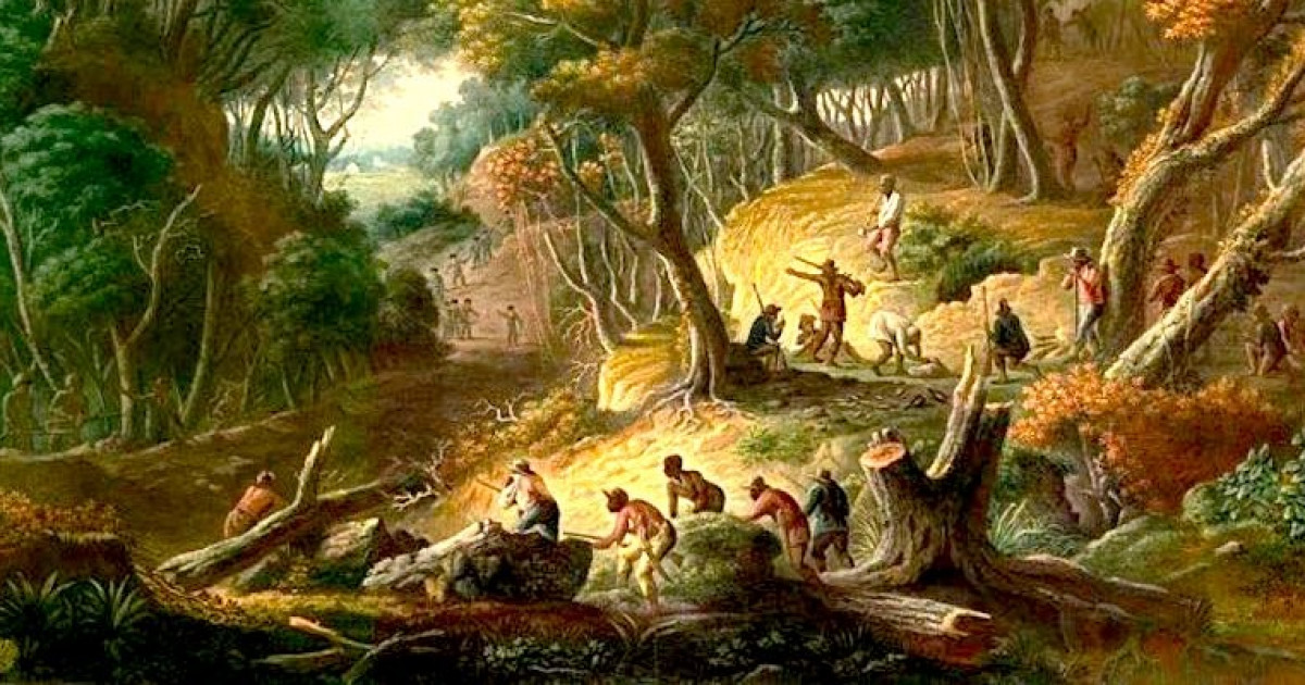 The Jamaican Slave Insurgency That Transformed the World — Bunk