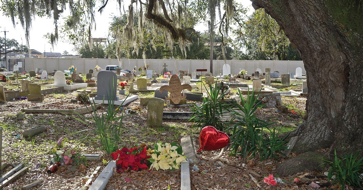 New Orleans Vanishing Graves Bunk