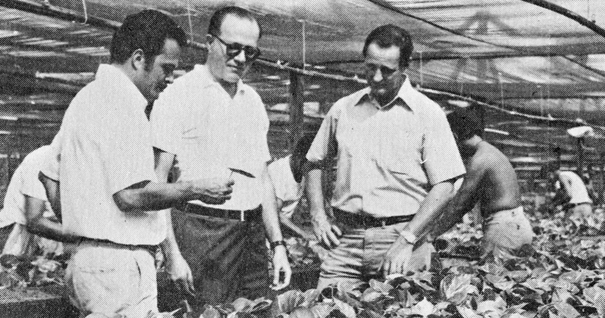 The Banana King Who (Tried to) Put People Over Profits — Bunk