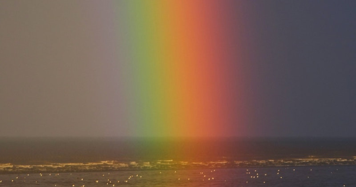 Queer History Detective On the Power of Uncovering Stories from the