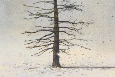 Drawing of a dying tree. The tree is losing its needles and the trunk is frayed.