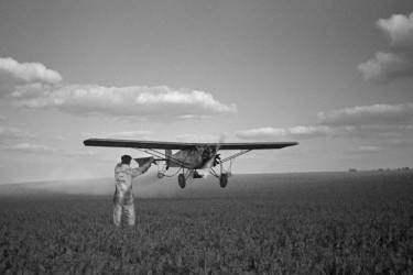 A Farm Security Administration representative visits Seabrook Farms in New Jersey in May 1938.