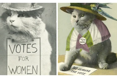 Illustrations of Cats Promoting Suffragist Movement with signs saying Votes for Women.
