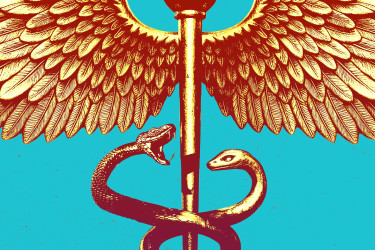 A Caduceus with one snake ready to attack the other.