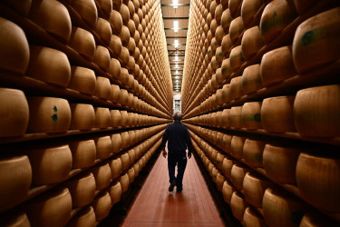 A man walking through a hallway of cheese wheels.
