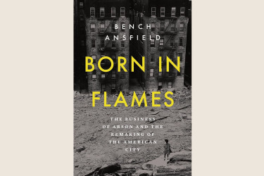 Cover of "Born In Flames" book.