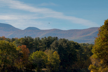 Trees starting to turn colors, in front of mountains and a blue cloudy sky.