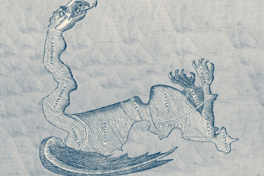 Political cartoon depicting a gerrymandered district in 1812 Massachusetts as a monster.