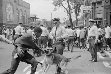Fifteen year old Walter Gadsden being attacked by police dogs during the civil rights demonstration in Birmingham, Alabama