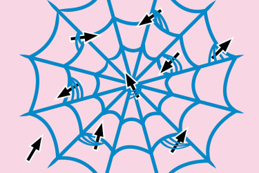 Cursor arrows caught in a spider web.