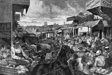 Washington Market of horses and crowds of people in New York in 1872.